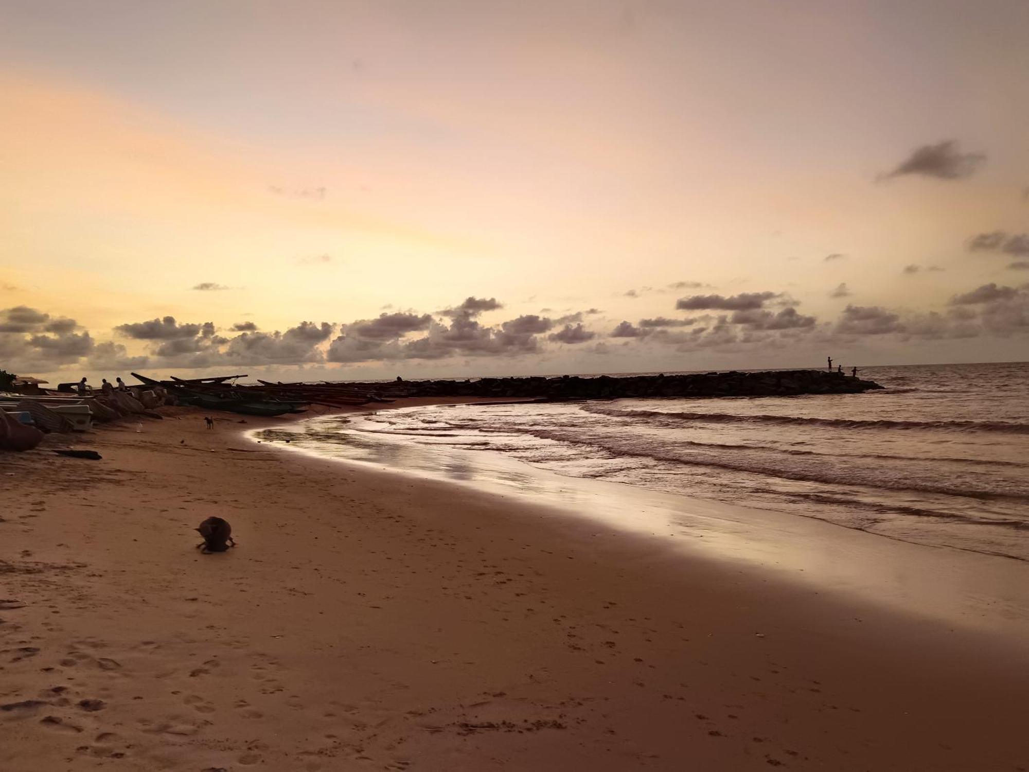 La Cozy Hotel & Restaurant Negombo Daluwekotuwa Екстер'єр фото